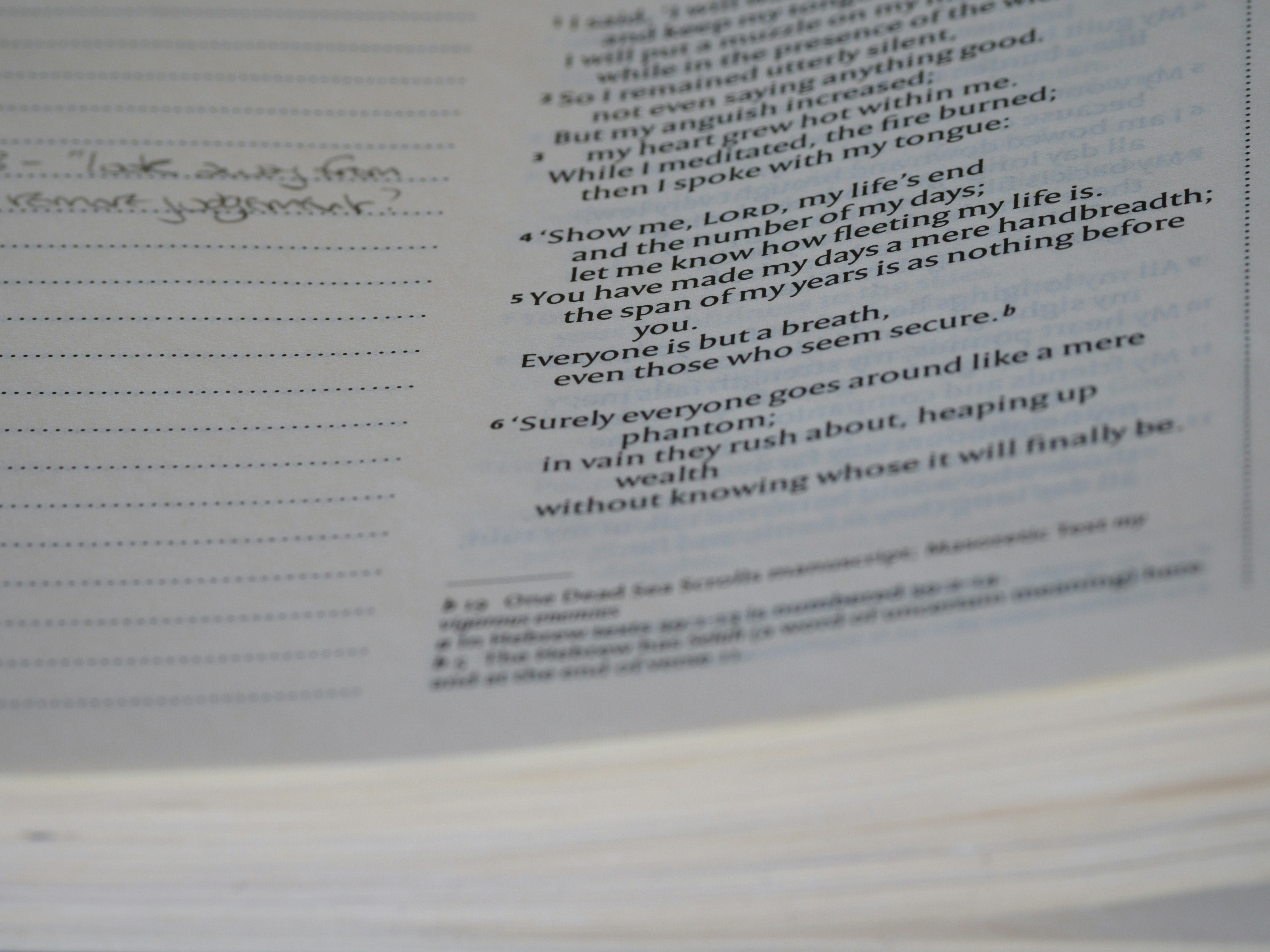 close up, bokeh, macro, blur, blurred background, close focus, bible, old testament, hebrew bible, christian, judaism, history, text, reading, bible study, devotions, text, NIV, New International Version, type, typography, canon, christianity, holy scripture, holy bible, scripture, old testament, hebrew bible, תְּהִלִּים, psalms, psalter, ketuvim, writings, tanakh, king david,